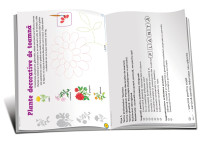 Mă joc și creez 5+ (cu foi detașabile)